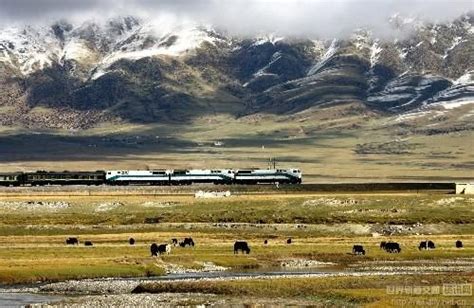 河南怎麼去拉薩：從中原到高原的奇幻旅程